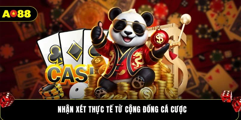Nhận xét thực tế từ cộng đồng cá cược